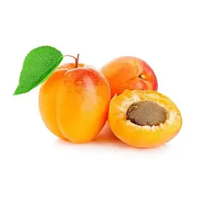 Apricot