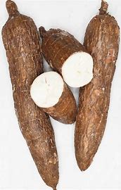 Cassava
