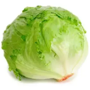 Lettuce Iceberg