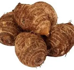 Mukhi (Bangladeshi)