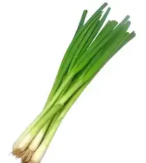 Spring Onion