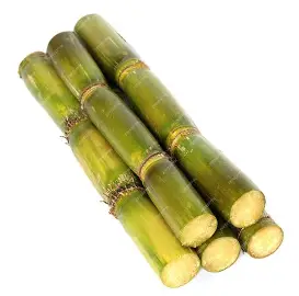 Sugarcane