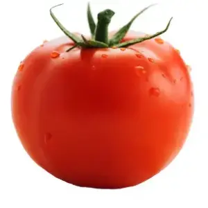 Tomato Loose