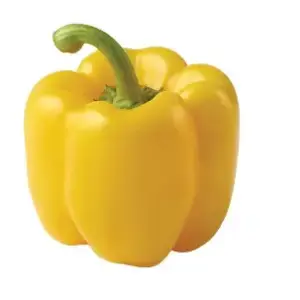 Pepper/Capsicum Yellow