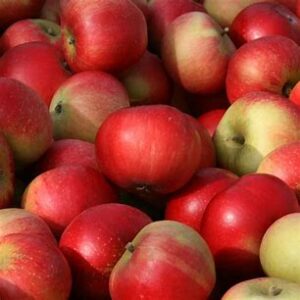 Apple Discovery 3 for £1