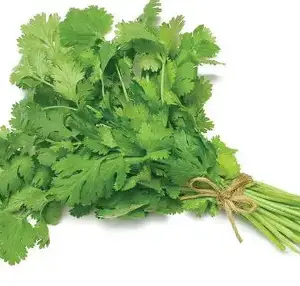 Coriander Leaf