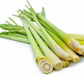 Lemon Grass
