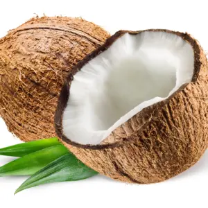 Coconut